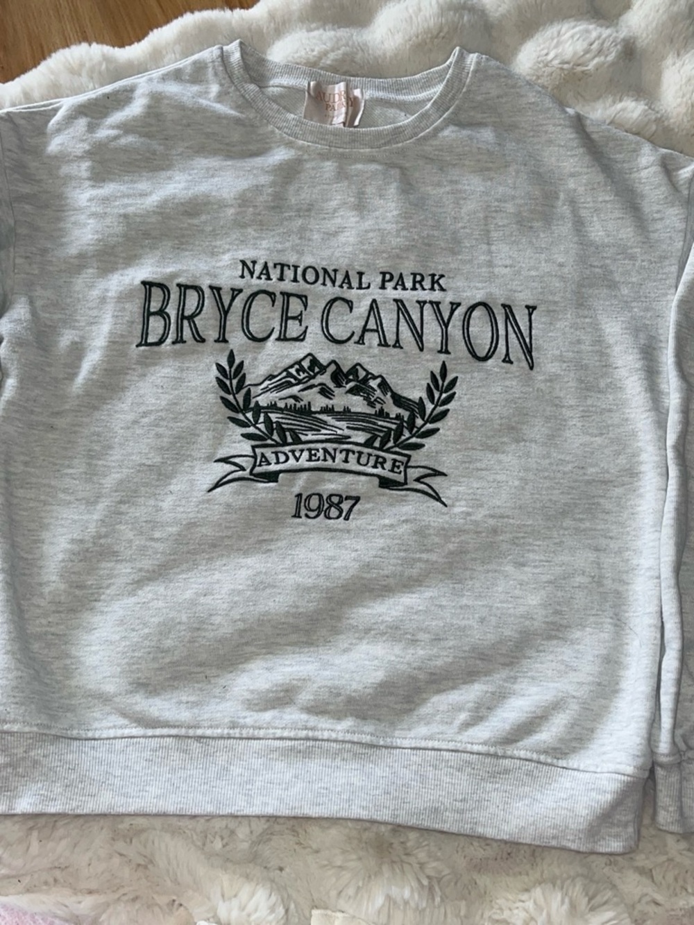 Francesca's Collections Light Gray Bryce Canyon Graphic Crewneck